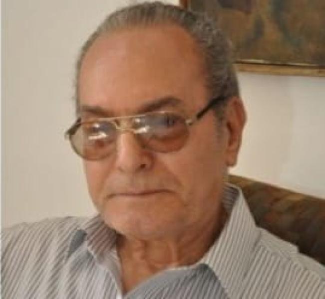 الكاتب أبو العلا السلامونى