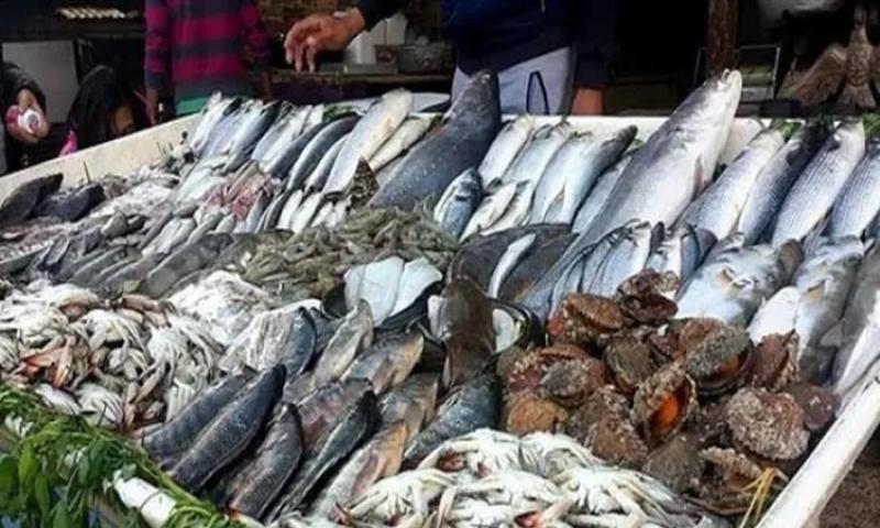 حملات مقاطعة لـ شراء الأسماك بالإسكندرية