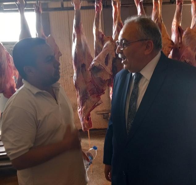 العميد محمود السعدني العضو التنفيذي للشركة المصرية: اسعار اللحوم تبدأ من 220 إلى 360 جنيها للكيلو