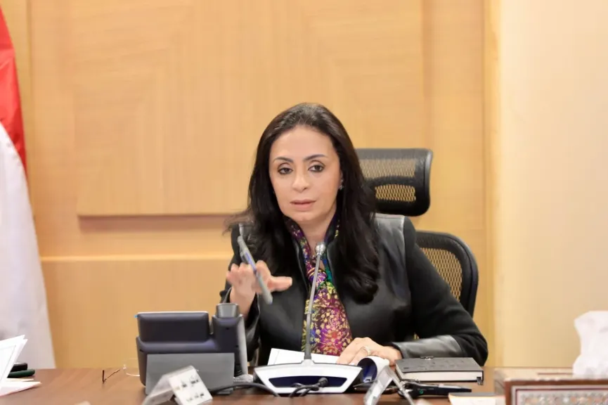 مصر الخير تطلق رؤية مجتمعية لتنمية وتطوير قطاع المنظمات الأهلية بحضور د.مايا مرسي ونبيلة مكرم الثلاثاء المقبل