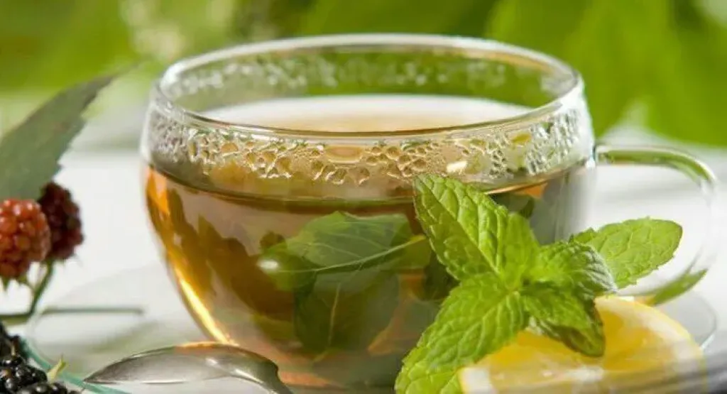 النعناع..سر الرشاقة الطبيعى !