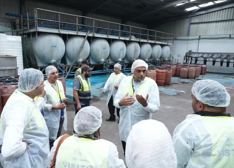 لزيتون المصري يتصدر الأسواق العالمية بجودته وسلامة تصنيعه.. ومطالب بحملات توعية لحماية صحة المستهلكين من الزيتون السائب المصبوغ