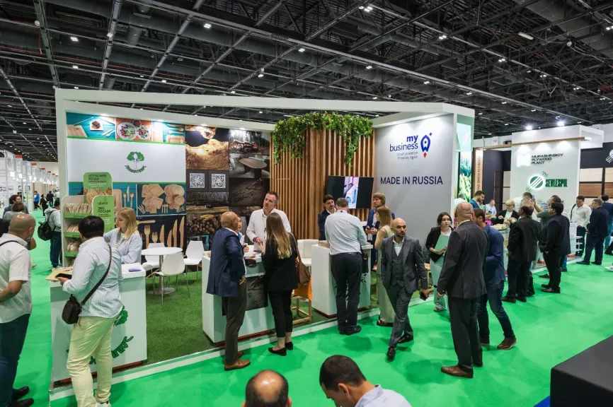 FOR IMMEDIATE RELEASE [Cairo, Egypt] — [November 20, 2025]