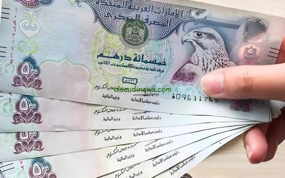 استقرار سعر الدرهم الإماراتي أمام الجنيه المصري اليوم السبت 22 نوفمبر 2025
