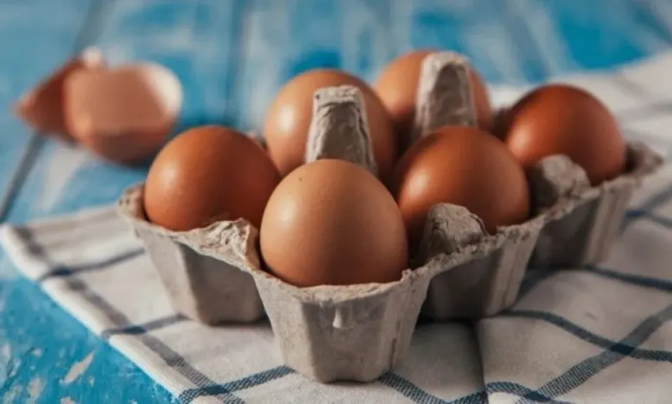 أسعار كرتونة البيض اليوم السبت 29-11-2025 في مصر