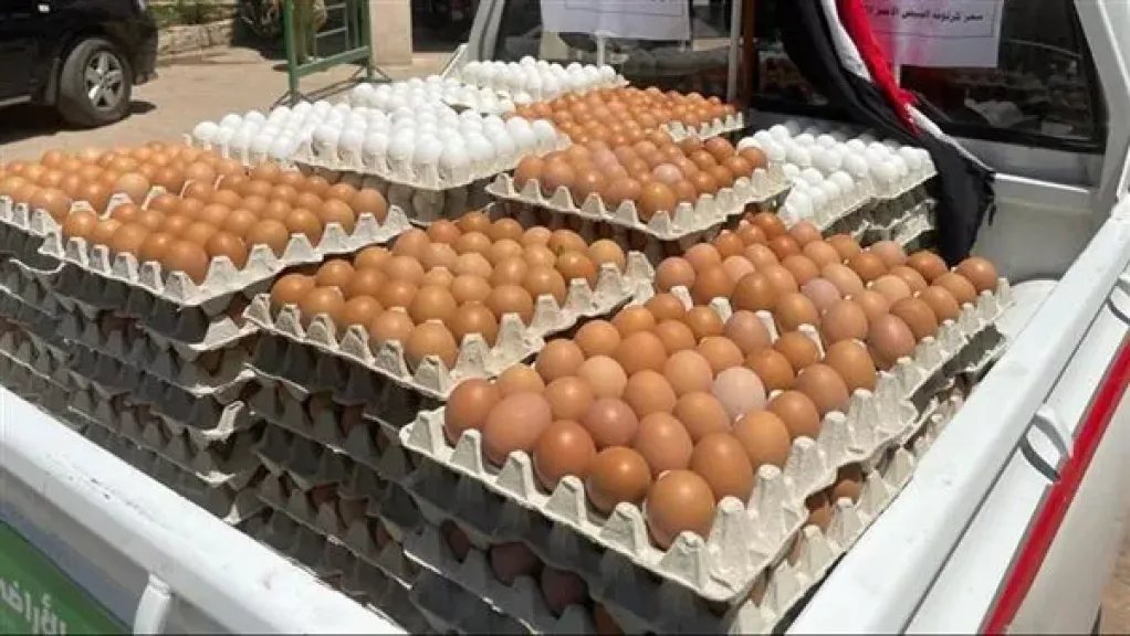 سعر كرتونة البيض في مصر اليوم الثلاثاء 16 ديسمبر 2025.. استقرار ملحوظ بالأسواق