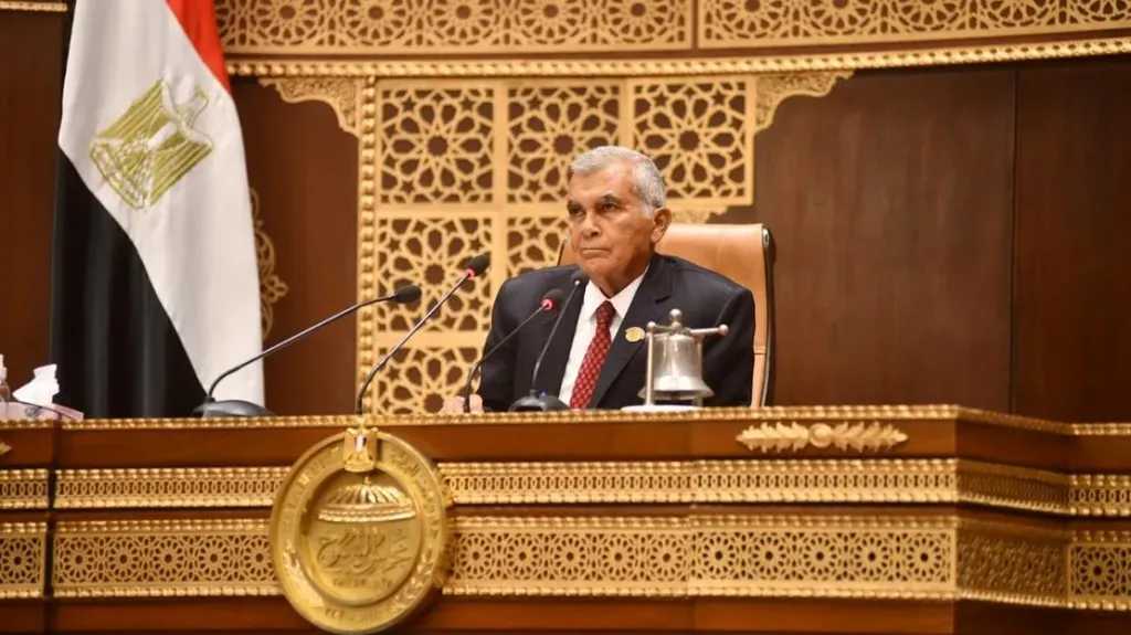 رئيس مجلس الشيوخ يدلي بصوته في جولة الإعادة لانتخابات مجلس النواب 2025