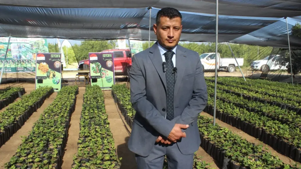 إنجاز جديد بالبحيرة .. تفاصيل أول مشروع لزراعة البن في مصر