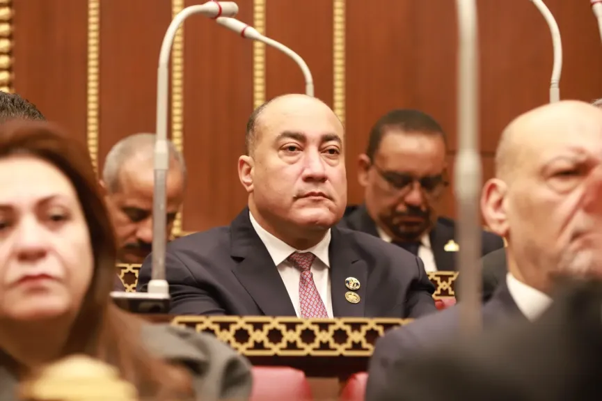 عمرو رشاد:  موافقةومجلس الشيوخ يضمن انتظام المرافق العامة واستقرار خدماتها