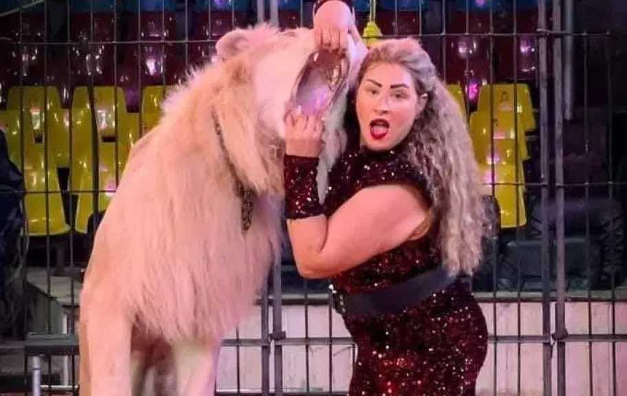 السيرك القومى يواصل تقديم برنامجه يوميا بالعجوزة