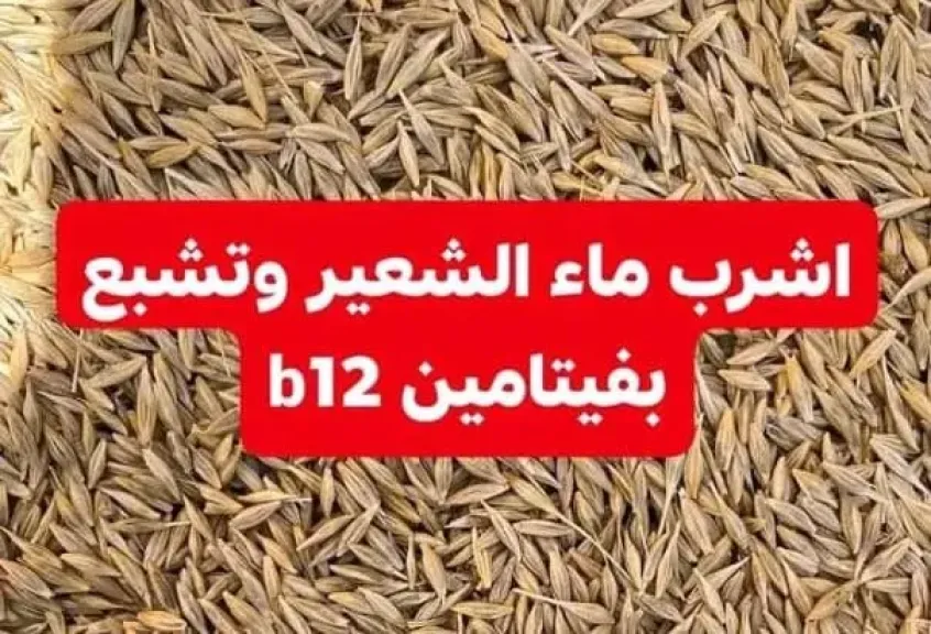 أشرب ماء الشعير وتشبع بفيتامين  B12
