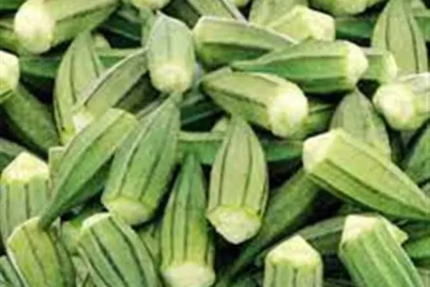 البامية كنز غذائي بفوائد مذهلة..إليك أبرز فوائدها الصحية!