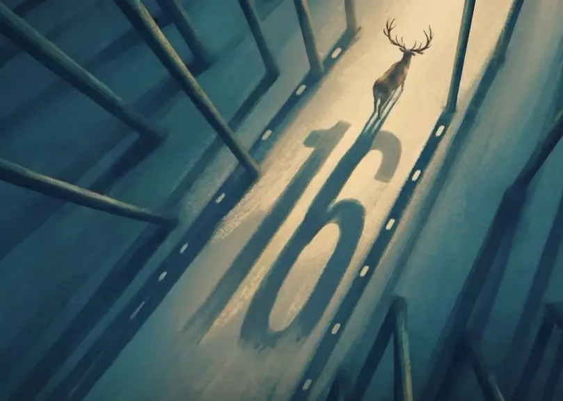 مهرجان ”مالمو للسينما العربية ”يعلن عن لجان التحكيم فى دورته السادسة عشر