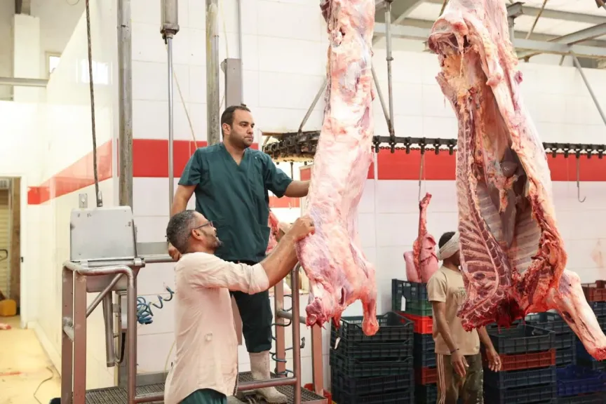 «من خلال 41 ألف صك والوصول إلى 3 ملايين مستفيد»..”مصر الخير” تعلن نجاح خطتها لتوزيع لحوم الأضاحي