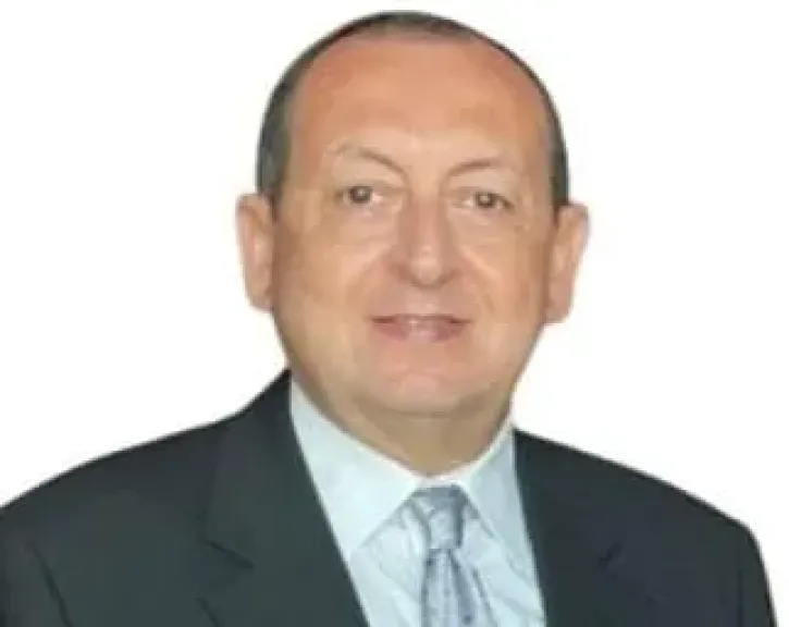 المصريين فى الخارج ورقة التوت:حقيقة شاحبة وشعارات التجميل