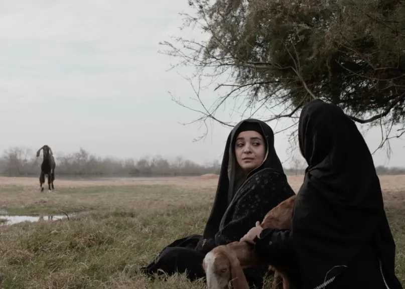 ثلاثة مشاريع سينمائية مدعومة من المورد الثقافي فى الدورة التاسعة لمهرجان الجونة السينمائي