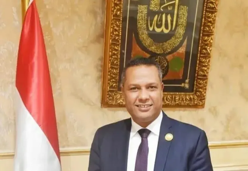 النائب محمد حمزة: تفويض الرئيس السيسي لدعم السعودية يجسد وحدة المصير العربى ..وأمن الخليج جزء لايتجزأ يتجزا من الأمن القومي المصري